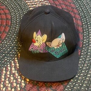 Vintage 90s Animaniacs Pinky &‎ The Brain Cartoon 1993 VTG SnapBack Hat